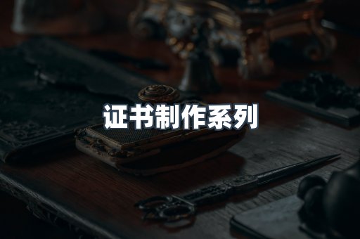 仿制证件24小时
